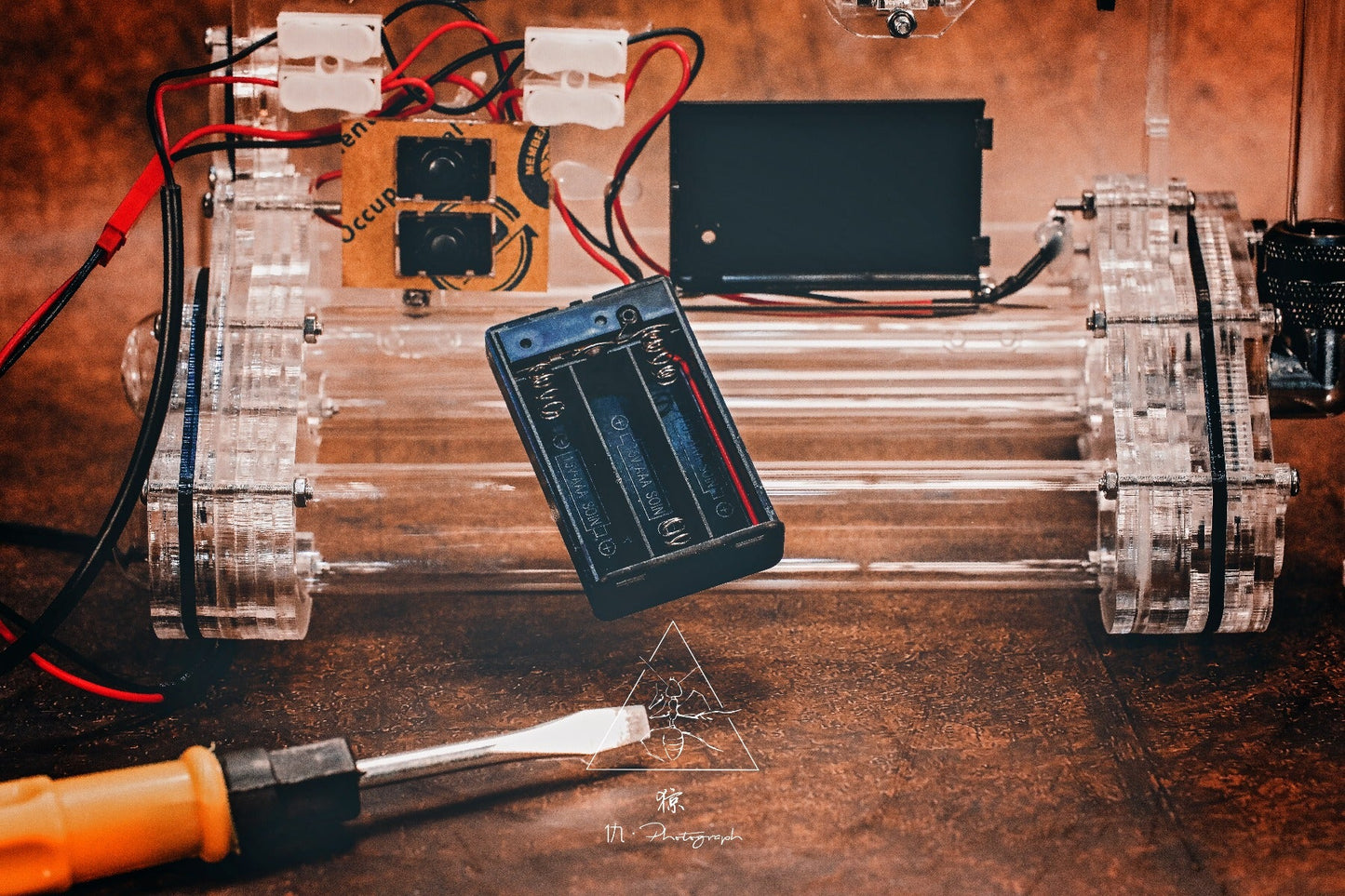 アリ飼養専用ケース