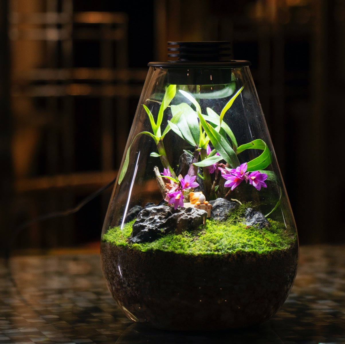 LED植物育成灯付き微生態テラリウム◆小型の陸上動物を飼うための容器